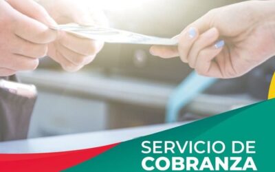 Pagá la factura de luz con tarjeta de crédito