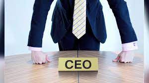 DEFINICIONES SOBRE UN CEO EN LA ACTIVIDAD PÚBLICA