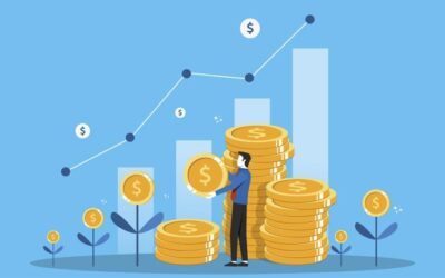 LA ECONOMÍA QUE ASOMA