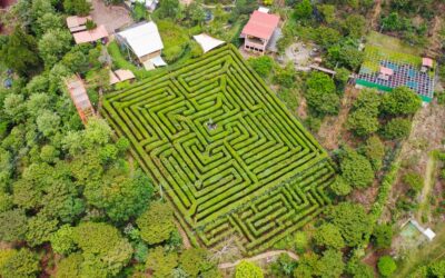 EL PÉNDULO DEL LABERINTO