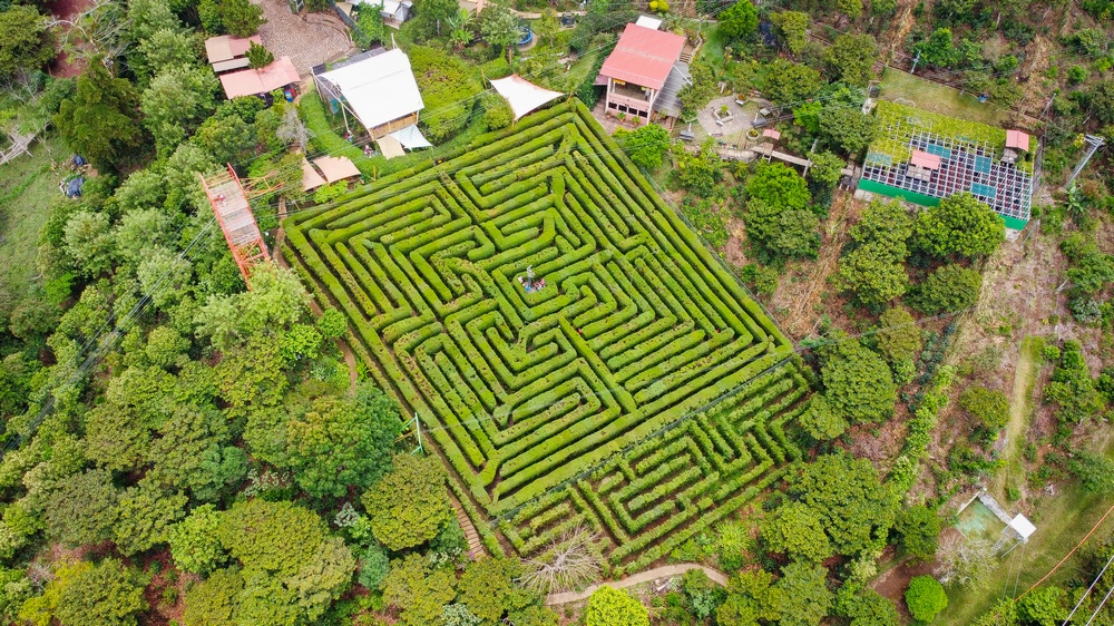 EL PÉNDULO DEL LABERINTO